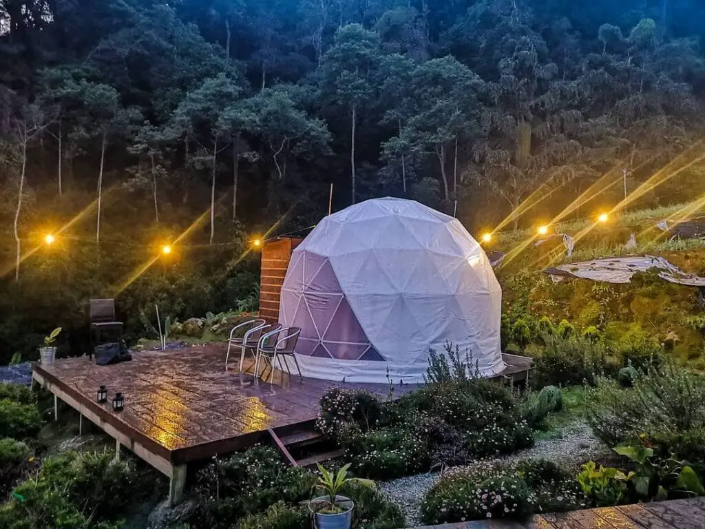 A'moss-Farm-stay-cameron highlands