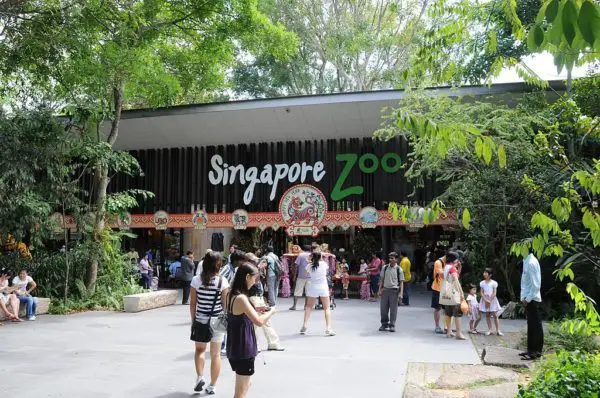 Johor to Singapore Zoo - Train & Bus Route - Expert Guide | Placefu