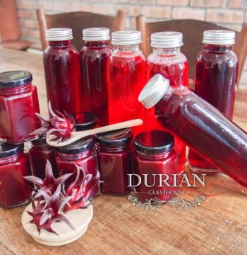Durian-guesthouse-kulai-Roselle-Juice -product-2