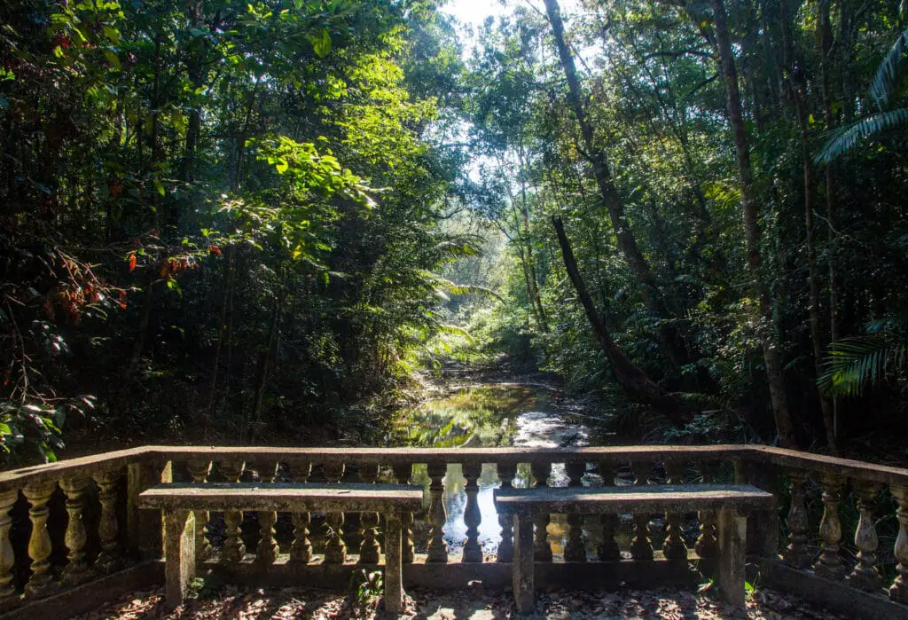 Penang National Park