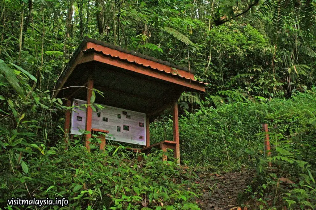 6 Child Friendly Glamping Spots In Malaysia Edureviews Blog