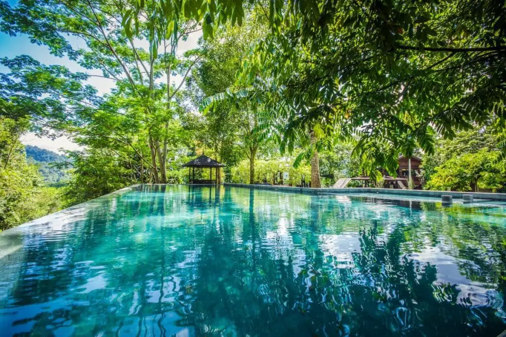 Templer Park Rainforest Retreat Pool