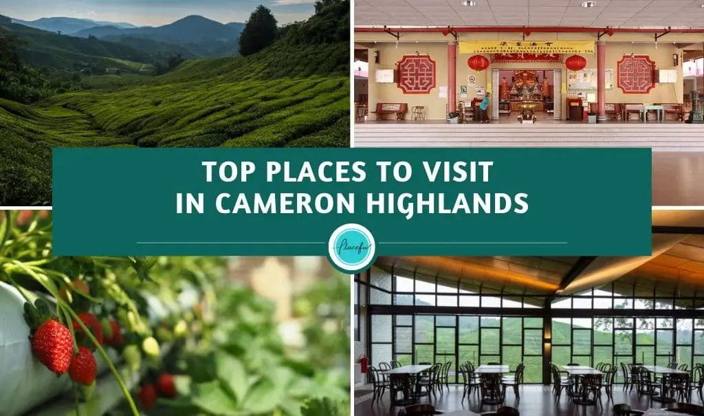 Top places to visit in Cameron Highlands