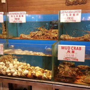 Orkid Ria Seafood Restaurant Living Lobster
