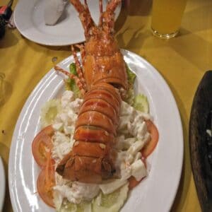Orkid Ria Seafood Restaurant Lobster