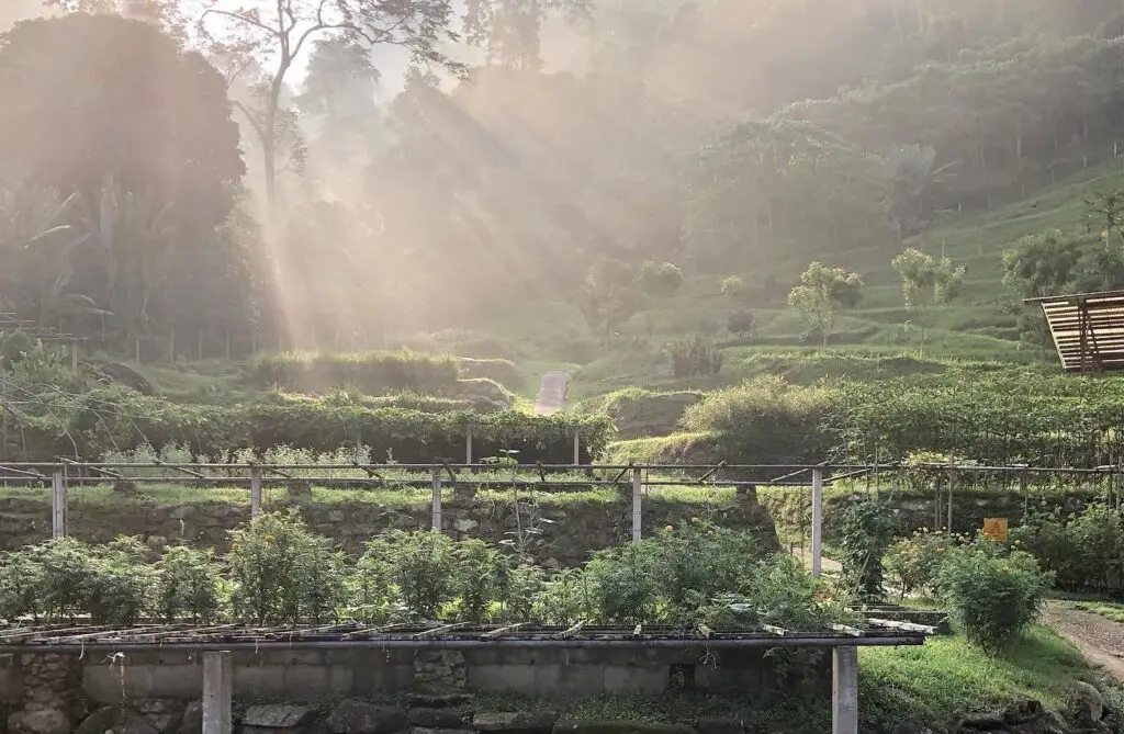 A Little Farm on the Hill