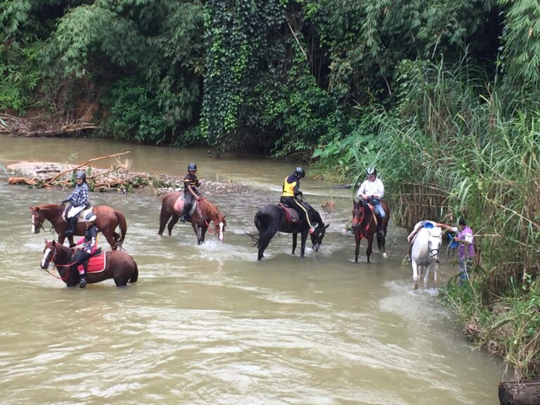 Bidaisari Stables-horse-cross-river-streams