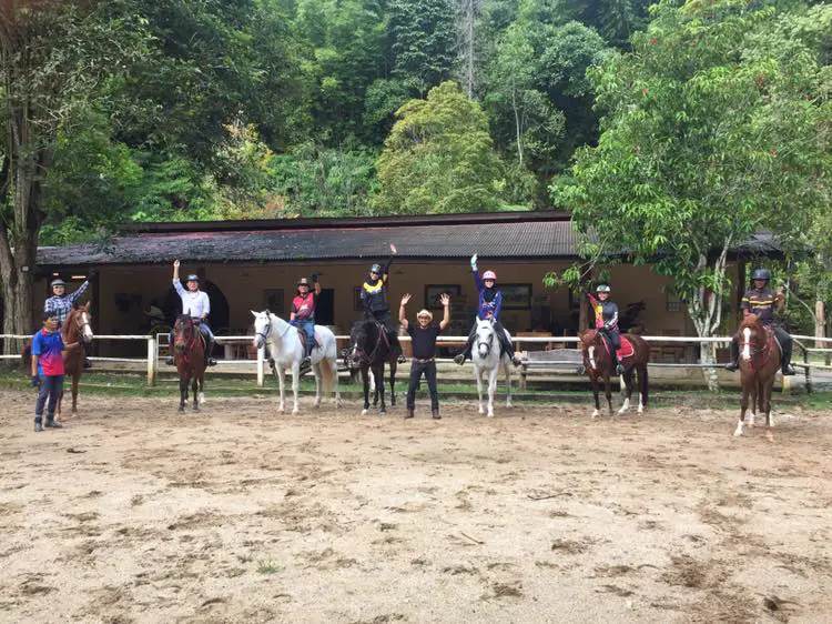 Horse Riding at Bidaisari Stables