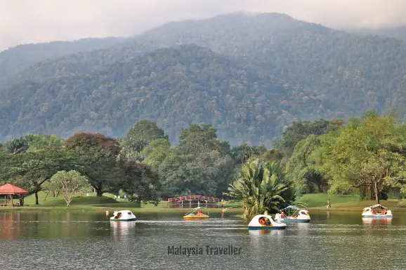 taiping-lake-gardens-paddle-boats