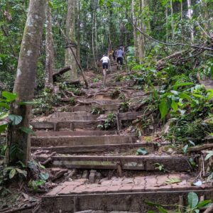 Bukit-Gasing-hiking-trails-steps