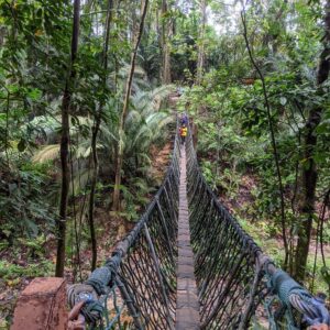 Bukit-Gasing-suspension bridge