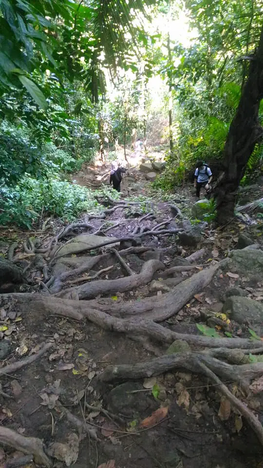 Gunung-datuk-hiking-trail