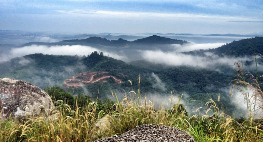 broga-hills-view