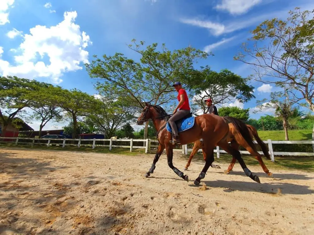 Happy-Hoof-Riding-Ranch