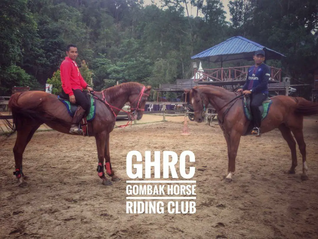 Horse Riding Places in KL and Selangor Placefu