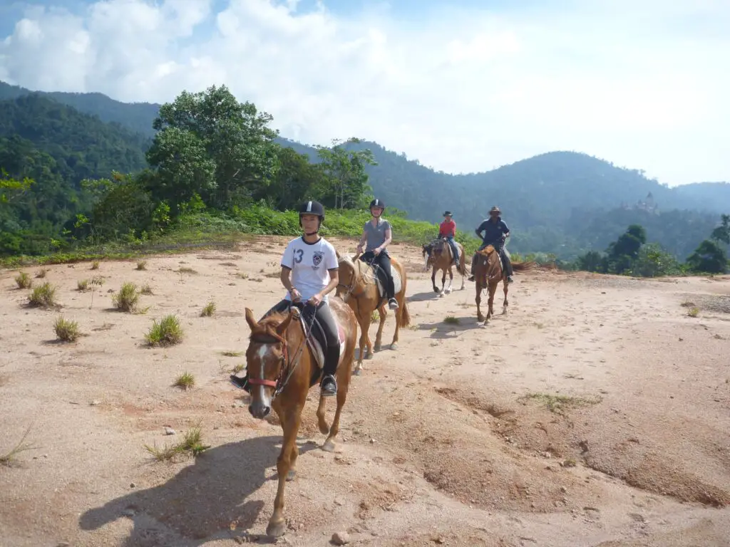 Horse-trail-rides-Bentong-Pahang