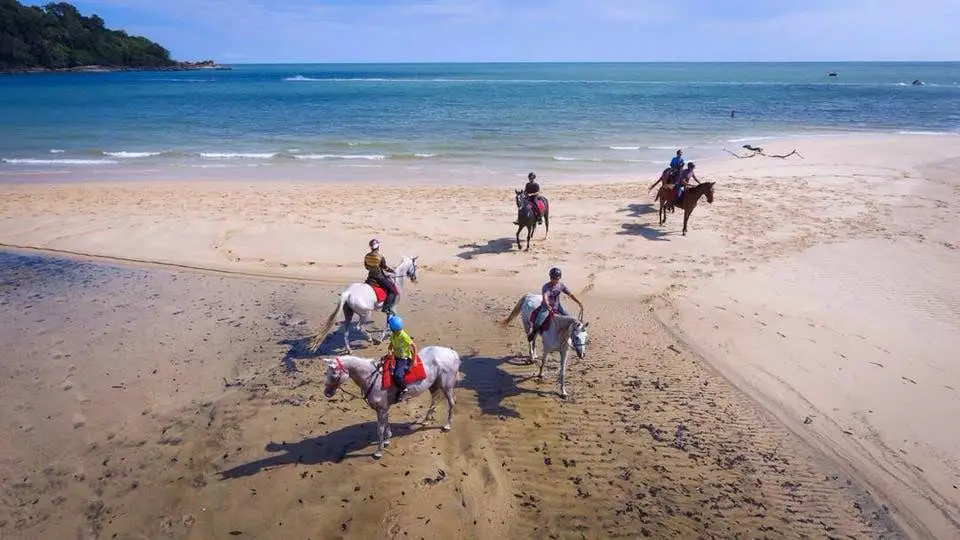 Island-Horses-Langkawi