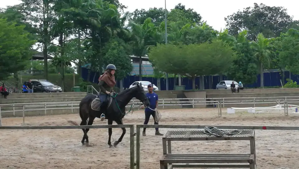 MAEPS-Horseback-Riding-Activity