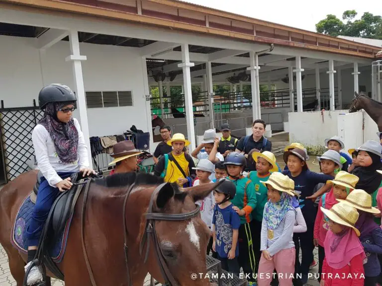 Horse Riding Places in KL and Selangor - Placefu