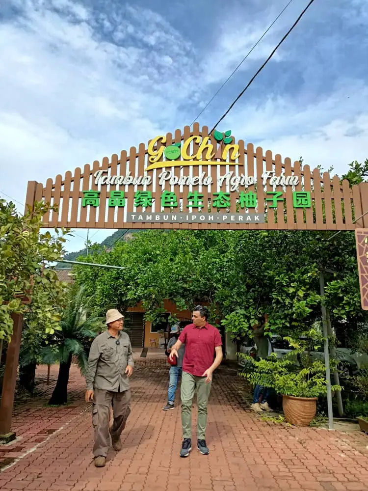 GoChin Tambun Pomelo Agro Farm