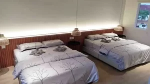 H Luxurious villa 245-bed