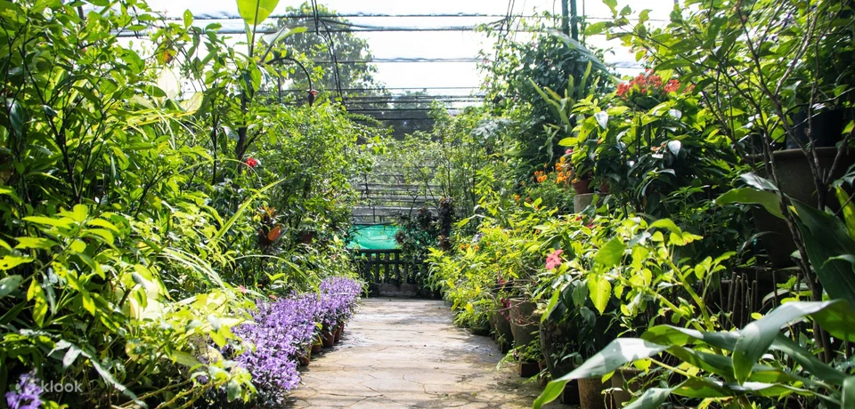 Butterfly Park Botanic Garden Kuala Lumpur