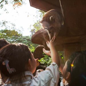 Lost-World-Petting-Zoo