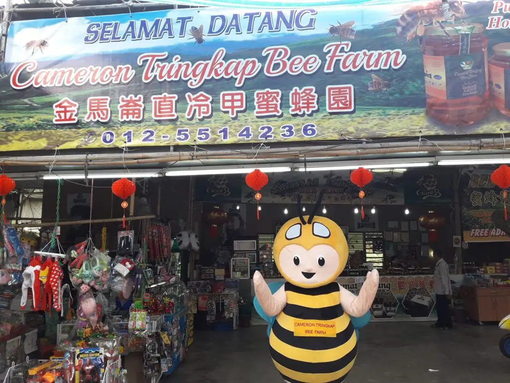 Cameron-Tringkap-Bee-Farm