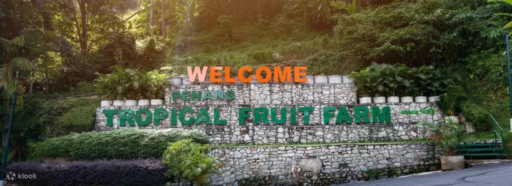 Penang-Tropical-Fruit-Farm