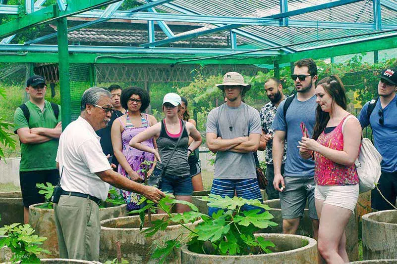 Tour-at-Tropical-Fruit-Farm-Penang-Klook