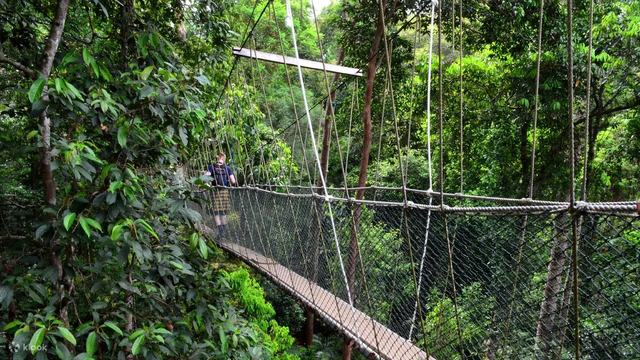 World's-Longest and-Tallest-Suspension-Bridge-Canopy-Walkway​